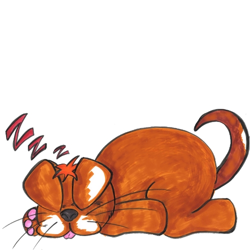 dessin de Kutta